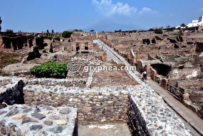 Pompéi (Italie) - gryphea.com